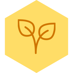 Натуральний мед